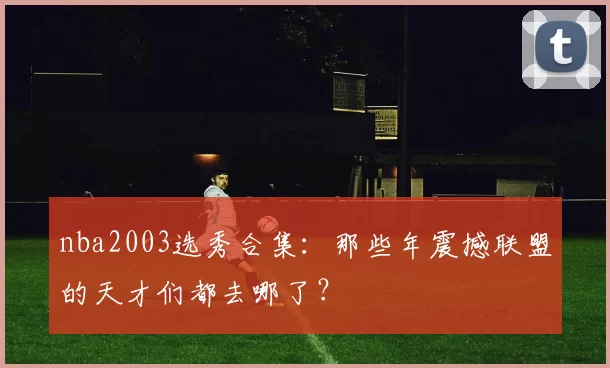 nba2003选秀合集：那些年震撼联盟的天才们都去哪了？