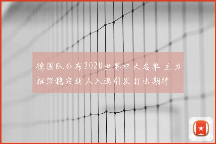 德国队公布2020世界杯大名单 主力框架稳定新人入选引发打法期待
