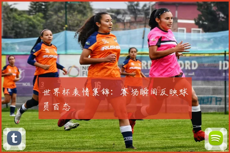 世界杯表情集锦：赛场瞬间反映球员百态