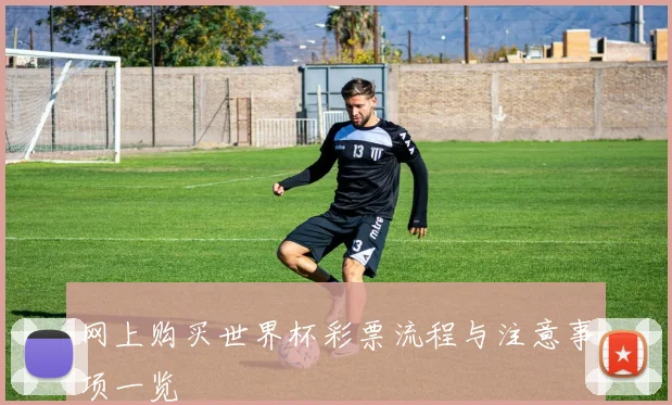 网上购买世界杯彩票流程与注意事项一览