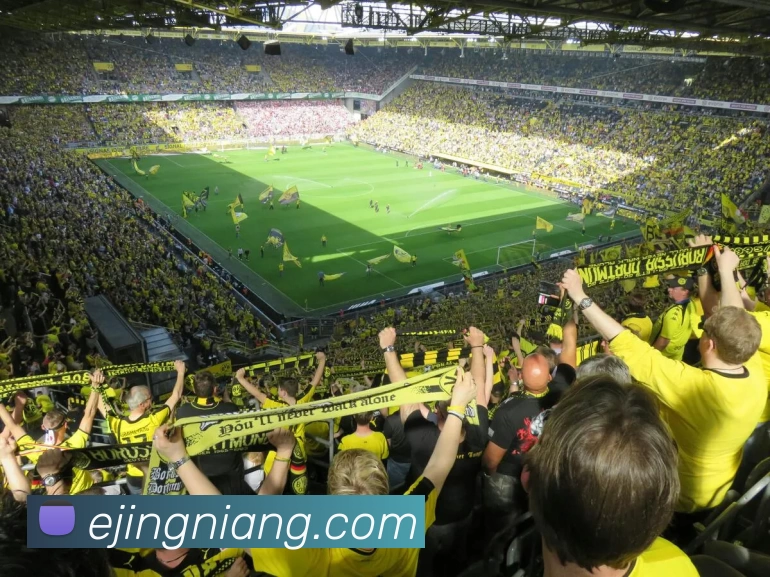 亚新网站APP 封面图